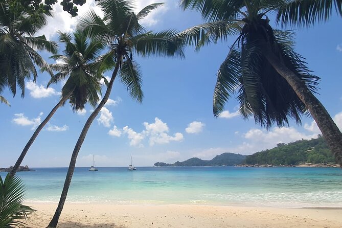 5 Hour Private Customize Tour of Mahe, Seychelles - Timing, pickup, and what the price covers
