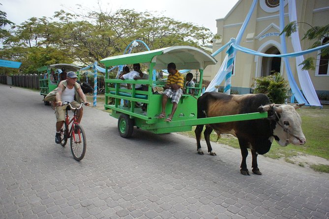 Cat Rose: Praslin Island / La Digue Island Fast Ferry - What the boat ride feels like