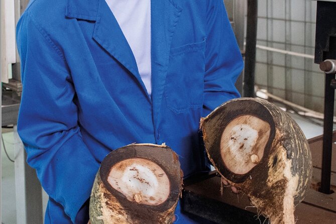 Coco de Mer Collection FREE Factory Tour & Shop - Seeing the nut, flesh, and husk