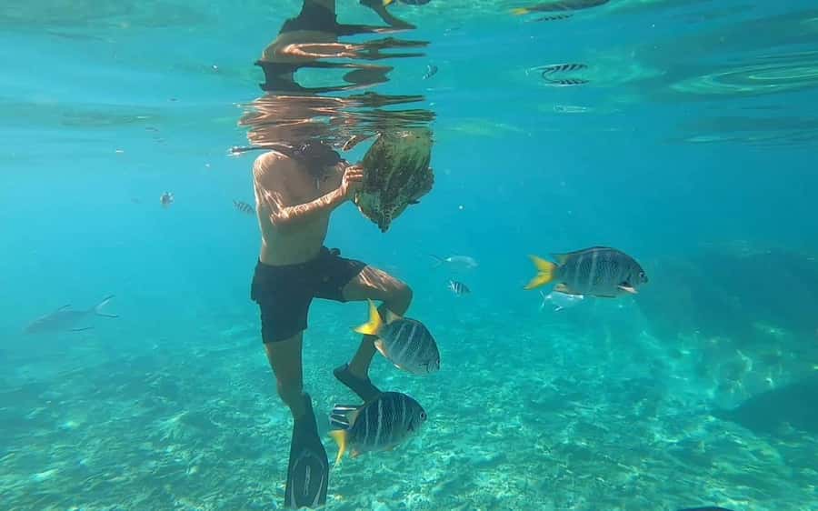 "Curieuse and St-Pierre Island Adventure: with Creole, BBQ - Timing, boat transfers, and what the day feels like