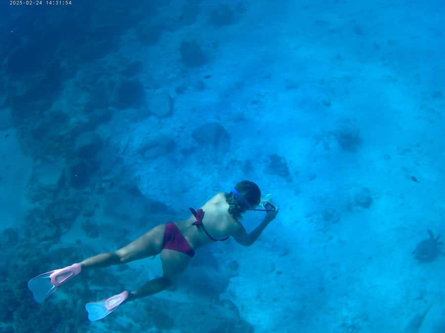 Curieuse and St Pierre Snorkeling Half-Day Trip No BBQ Lunch - Why Curieuse makes a strong half-day from Praslin