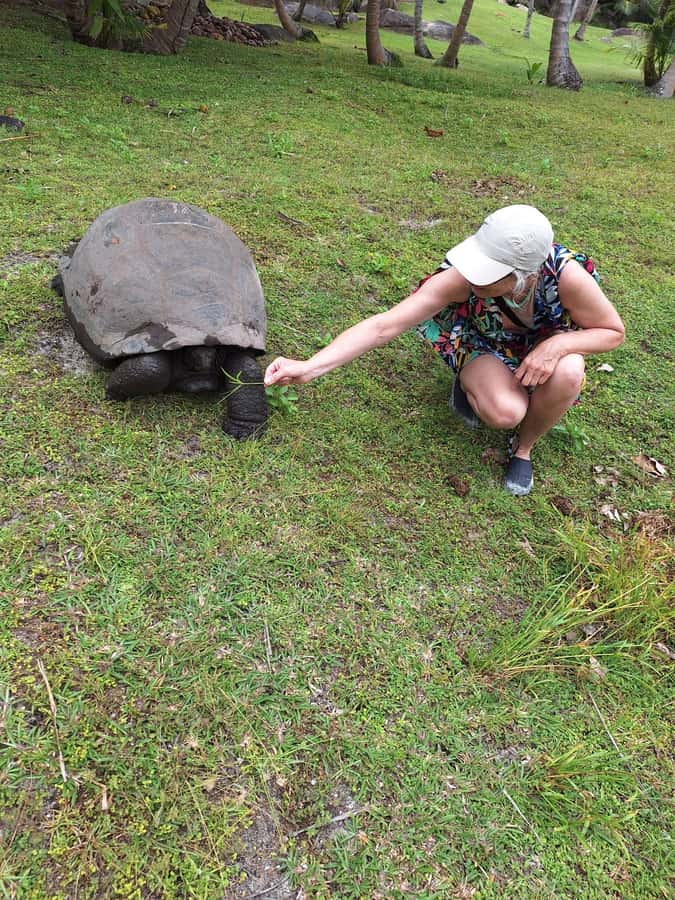 Curieuse and St Pierre Snorkeling Half-Day Trip No BBQ Lunch - Should you book the Curieuse and St Pierre trip?