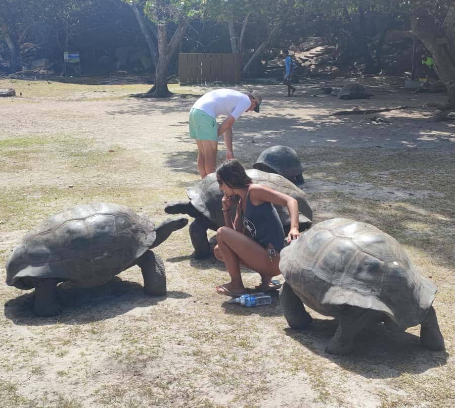Curieuse Guided Tour, St Pierre, BBQ & 2 Snorkel Stops - Why Curieuse makes this a strong Praslin day trip