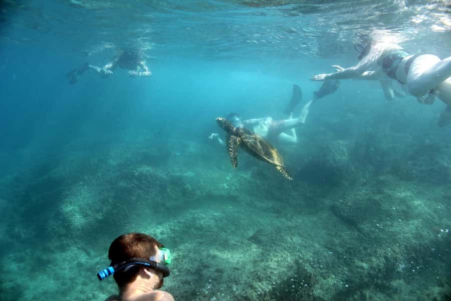 Curieuse Guided Tour, St Pierre, BBQ & 2 Snorkel Stops - A smooth start with Praslin hotel pickup