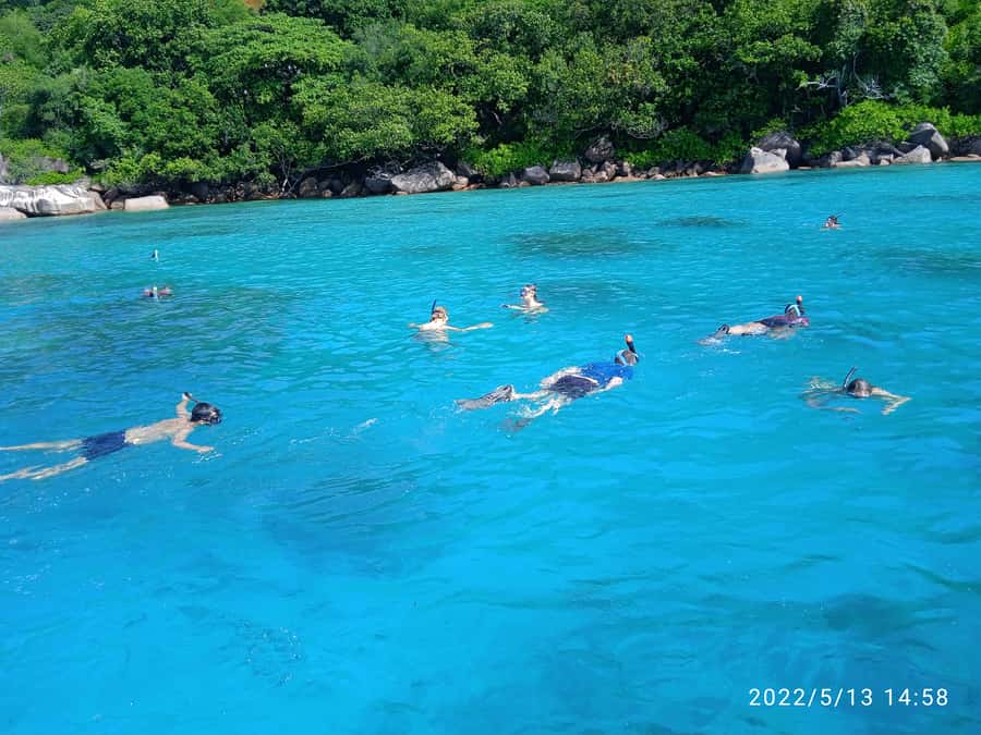 Curieuse Guided Tour, St Pierre, BBQ & 2 Snorkel Stops - Who should book, and who should think twice