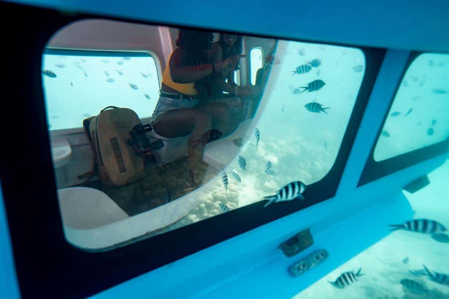 Eden Island: Semi-Submarine Tour in St. Anne Marine Park - The ride across Saint-Anne Marine Park