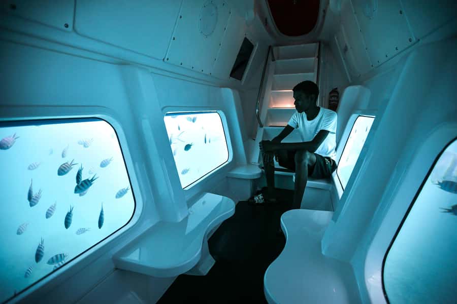 Eden Island: Semi-Submarine Tour in St. Anne Marine Park - What the underwater view can and cannot do