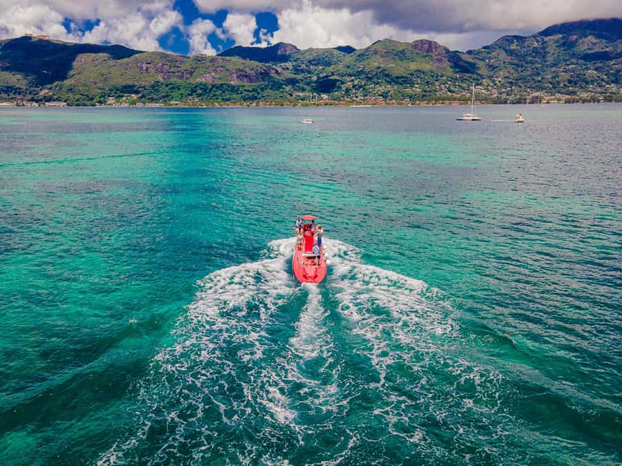 Eden Island: Semi-Submarine Tour in St. Anne Marine Park - Languages, service, and comfort