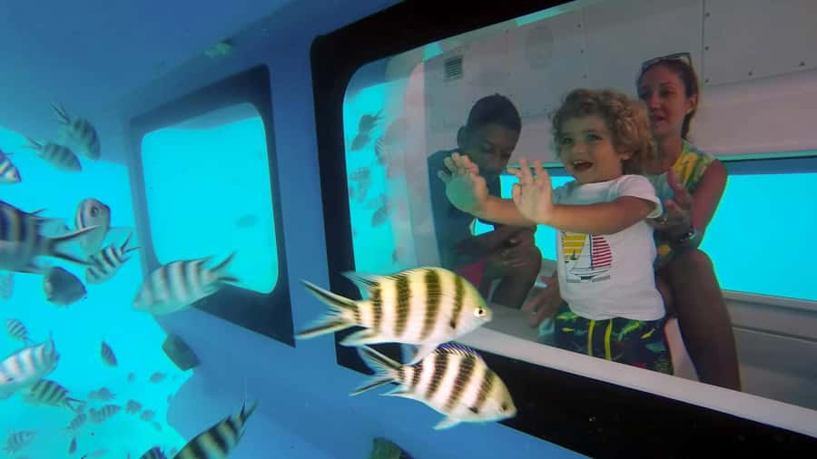 Eden Island: Semi-Submarine Tour in St. Anne Marine Park - Meeting at Eden Island