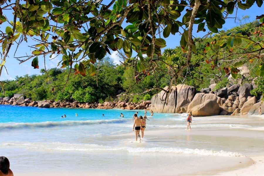From Mahe eden island to Praslin & Ladigue Daytrip - Fish Trap lunch with a view of the jetty