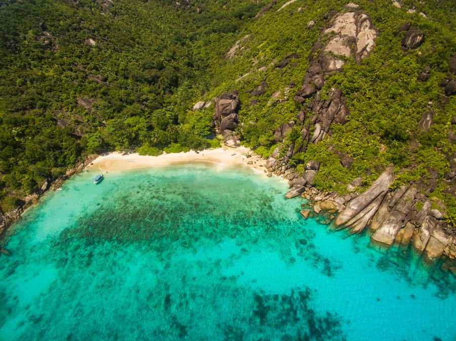 From Mahe: Guided Nature Trail Walk to Anse Major Beach - Looking for bulbuls, blue pigeons, and sunbirds