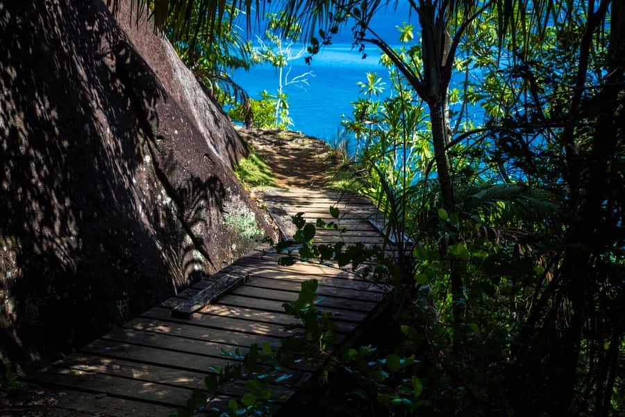 From Mahe: Guided Nature Trail Walk to Anse Major Beach - What the guide adds to the experience