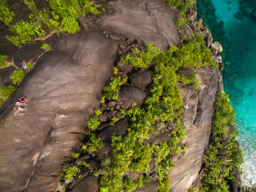 From Mahe: Guided Nature Trail Walk to Anse Major Beach - Who will get the most from this outing