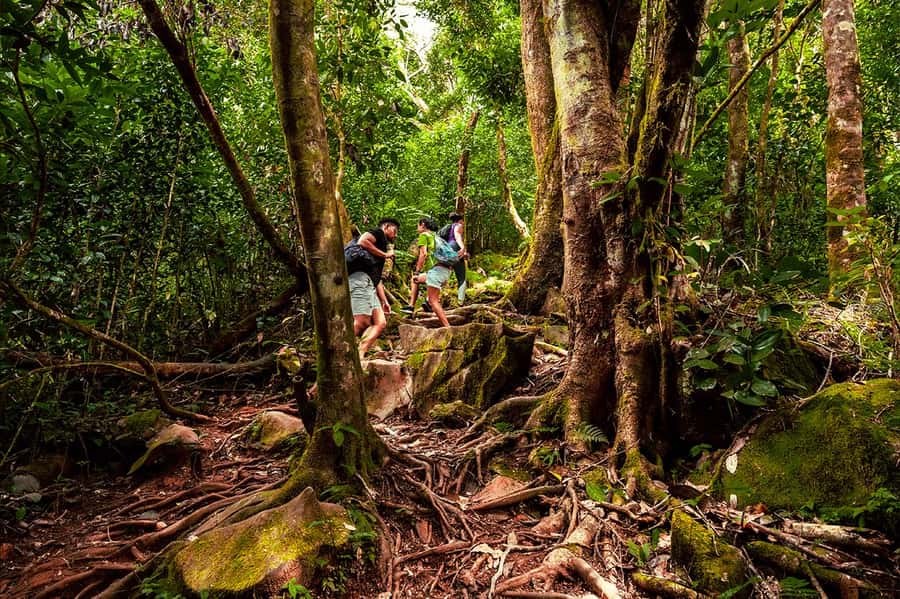 From Mahe: Guided Nature Trail Walk to Morne Blanc - Starting above the Tea Tavern at Sans Soucis