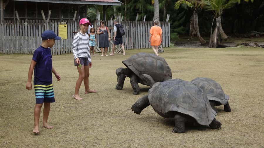 From Praslin: Cousin, Curieuse & St Pierre Islands Day Tour - Three islands, three very different reasons to go