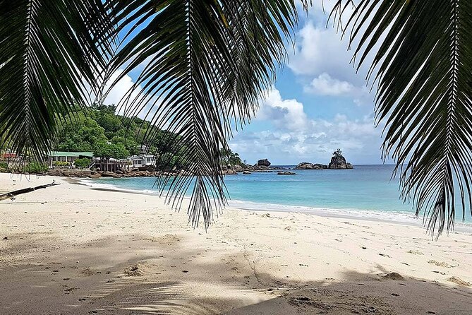 Full day (5-6 hours) island tour on Mahé with pick-up - Victoria in Brief: A Capital Best Seen with Context