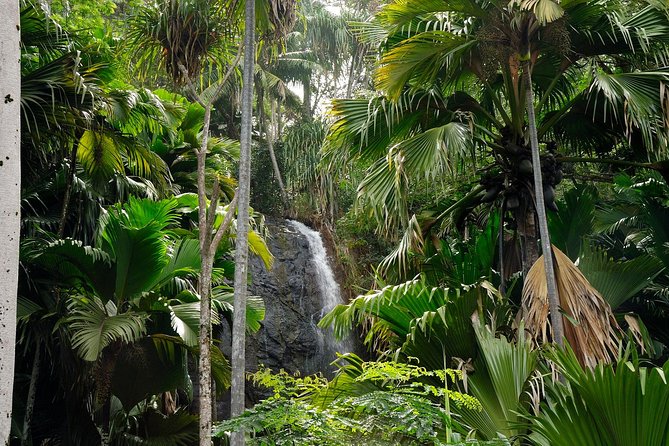 Full Day Discovery Tour of Vallee de Mai and Anse Lazio on Praslin Island - Lunch, clothing, and simple planning tips