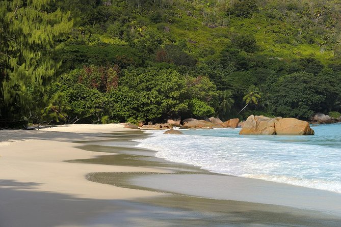 Full Day Discovery Tour of Vallee de Mai and Anse Lazio on Praslin Island - Who will get the most from this experience
