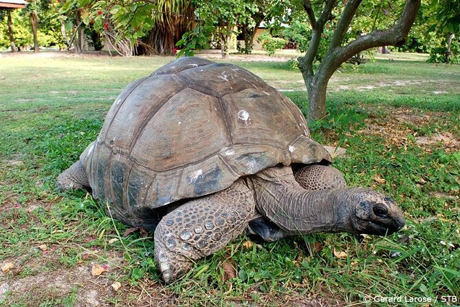 Full Day Excursion of Cousin, Curieuse and St Pierre Islands from Praslin Island - Three Seychelles islands, three different reasons to go