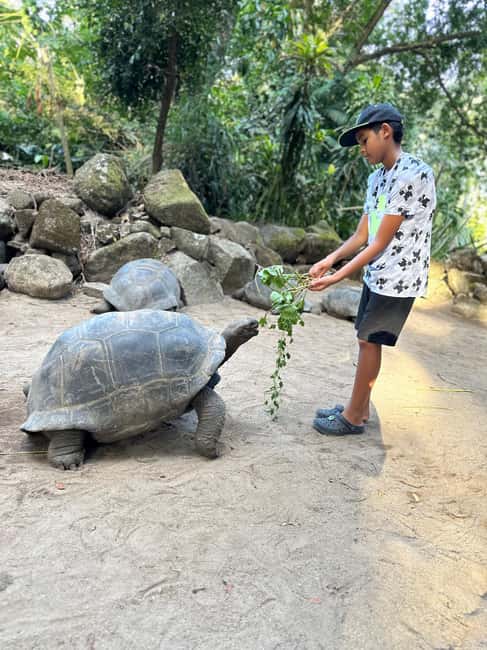 Full day Mahe Tour - Why this Mahé day tour works well