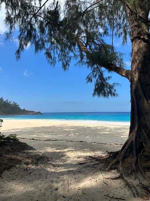 Full day Mahe Tour - Tea, rum, Coco de Mer, and local products