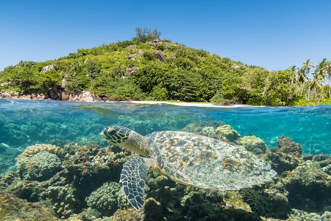 Full Day Reef Safari at St Anne Marine Park Seychelles - Timing, meeting details, and what to sort out early