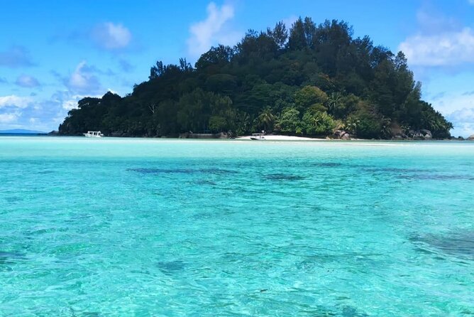 Full Day Reef Safari at St Anne Marine Park Seychelles - Who will get the most from this $146.43 outing