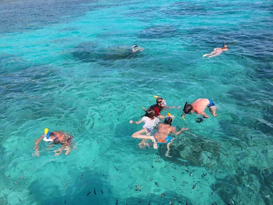 Glassbottom boat & Crystalkayak SteAnneMarinePark Snorkeling - First snorkeling: the main water experience