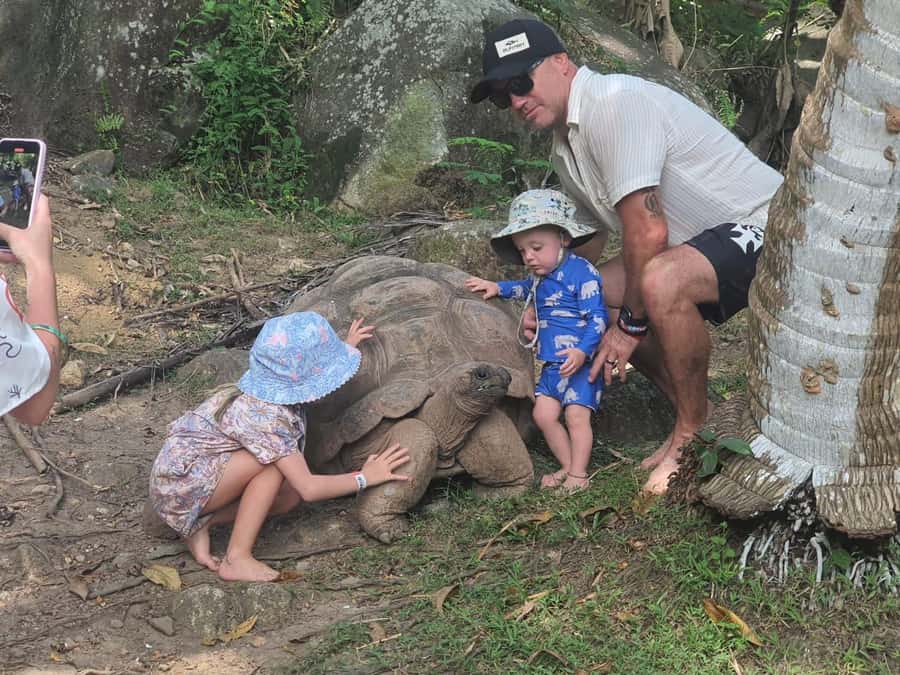 Glassbottom boat & Crystalkayak SteAnneMarinePark Snorkeling - Meeting the giant tortoises on Cerf