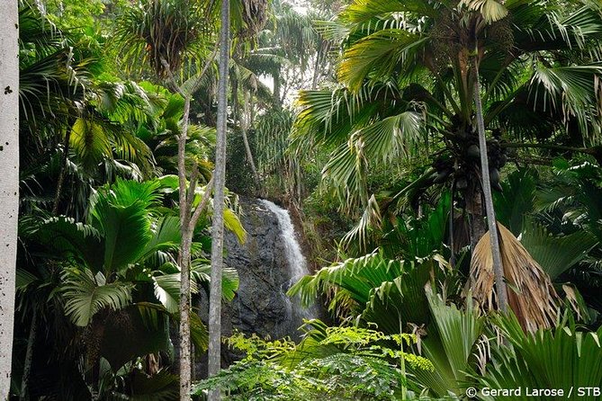 Half Day Discovery Tour of Vallee de Mai on Praslin Island - Key points at a glance