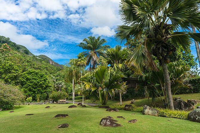 Half Day Discovery Tour of Victoria - Seychelles Capital on Mahe Island - The guide can shape the whole morning