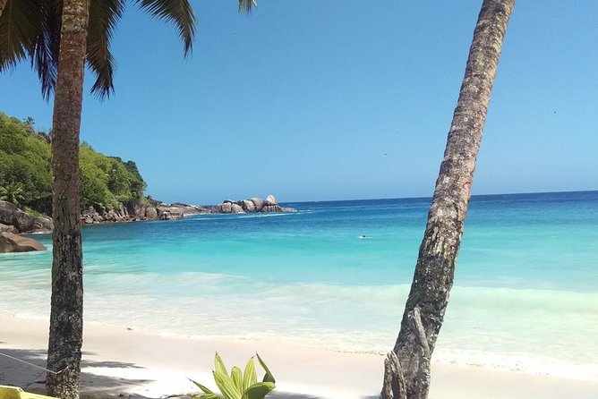 Half-Day Mahe private Tour - Tea, local products, and a taste of rum