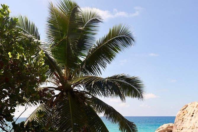 Half-Day Mahe private Tour - Port Launay is the best place to spend extra time