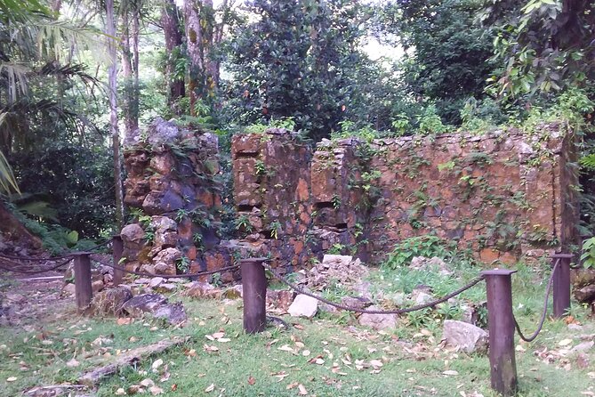 Half-Day Mahe private Tour - Why the private format matters