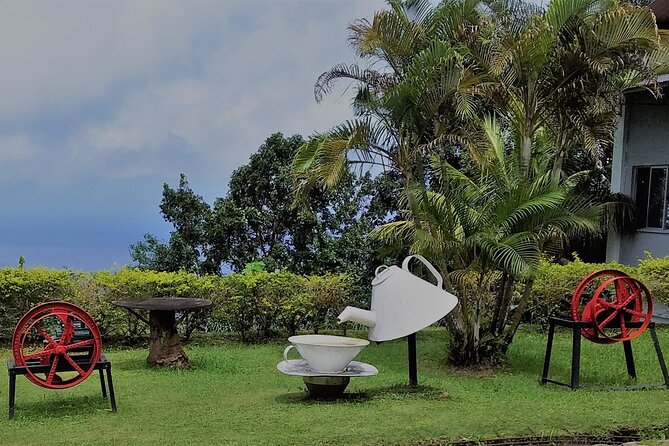 Half-Day Mahe private Tour - Mission Lodge gives you the big view