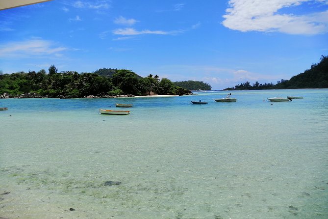 Island tour with the beach buggy - Mission Lodge Lookout and the island from above