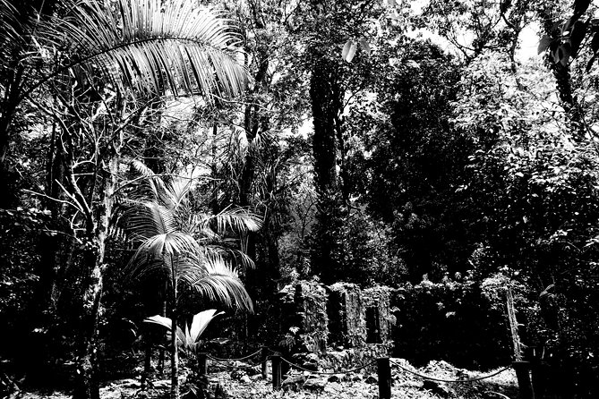 Island tour with the beach buggy - Francois brings the island to life