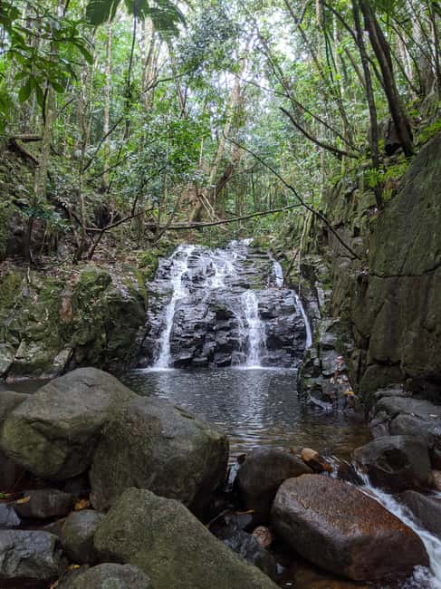 Jungle Adventure Hike:Climb, Waterfall, Discover Seychelles! - What you see on the way up