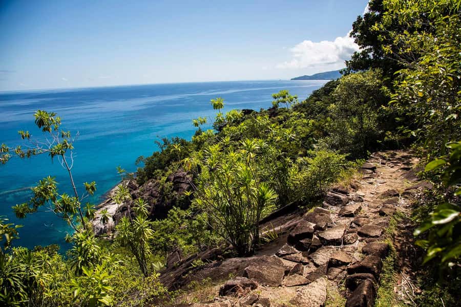 Mahé: Baie Ternay Park Catamaran Cruise with BBQ Lunch - What the guides add to the day
