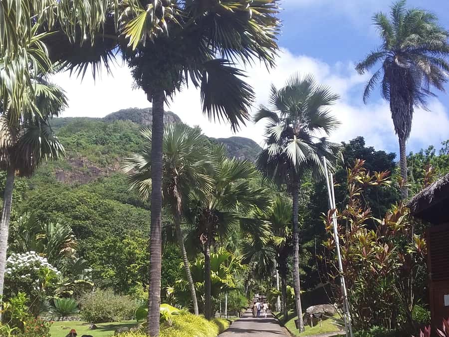 Mahé: Customizable Private Tour of Island with Driver - What the vehicle and timing mean for your day