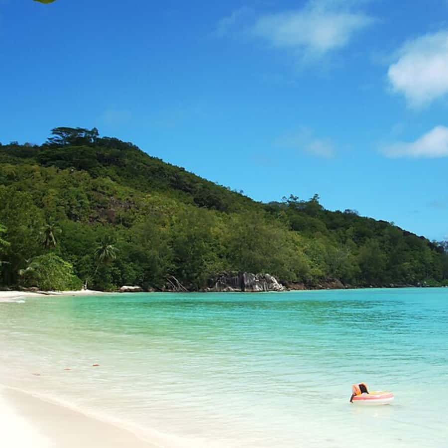 Mahe Discovery Bus Tour - What to Pack for a Smooth Beach Day