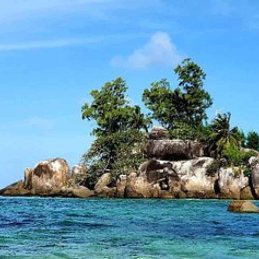 Mahe Discovery Bus Tour - Anse Royale: Clear Water and Time to Swim