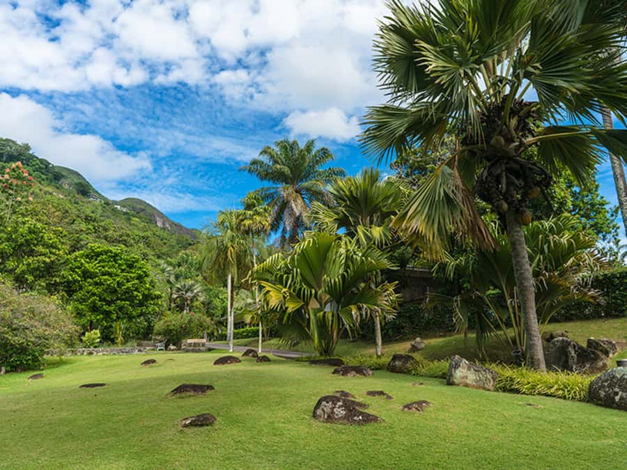 Mahé Island: Island Highlights Guided Day Trip with Lunch - Starting in Victoria at the central market