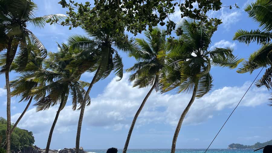 Mahe Island: Private Mahe Island Tour - Seeing Mahé by private car