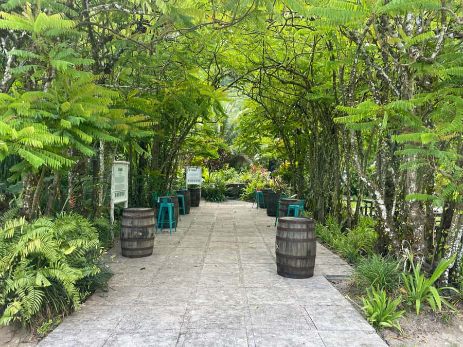 Mahe Island: Private Mahe Island Tour - Tea, rum, and the island’s local character