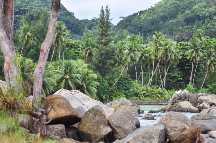 Mahe Island: Private Mahe Island Tour - Beaches, swimming, and snorkeling