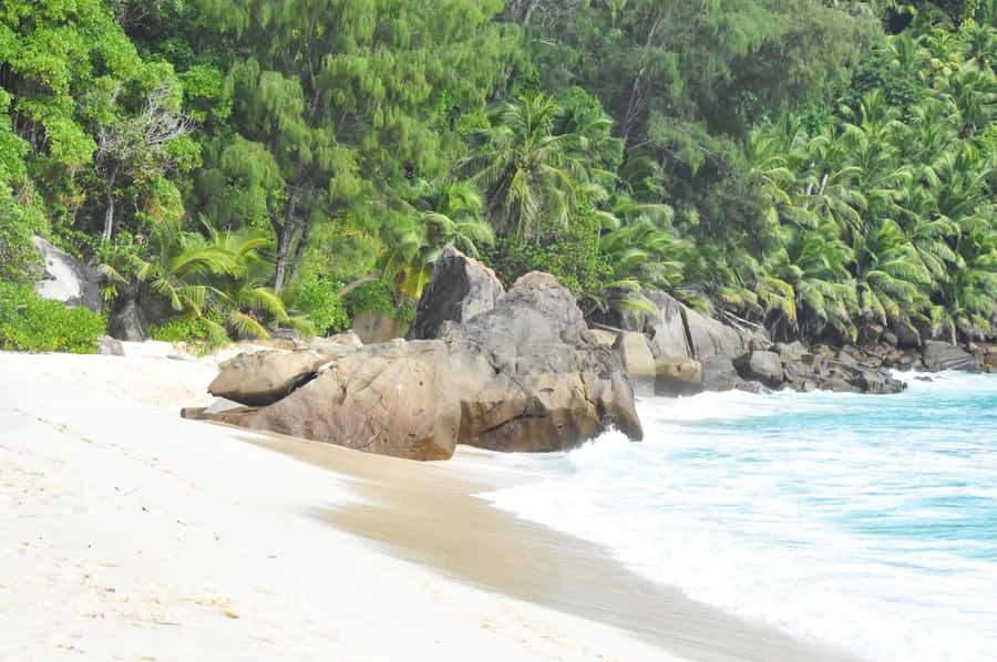 Mahe Island: Private Mahe Island Tour - Is $208 good value?