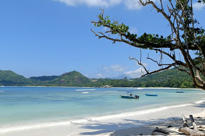 Mahe island Seychelles , unforgettable & adventurous tour - Victoria Market and everyday Mahé