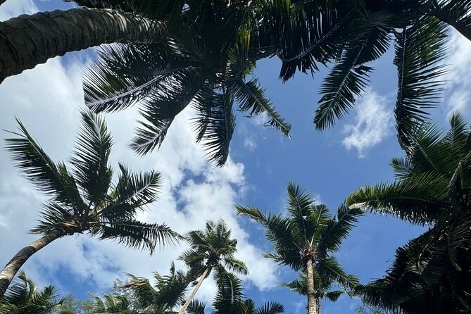 Mahe island Seychelles , unforgettable & adventurous tour - What the $200 group price really buys