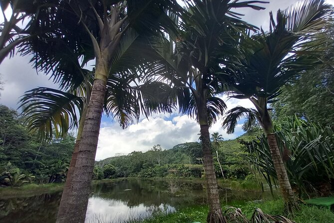 Mahe island Seychelles , unforgettable & adventurous tour - Craft Village and the old colonial house